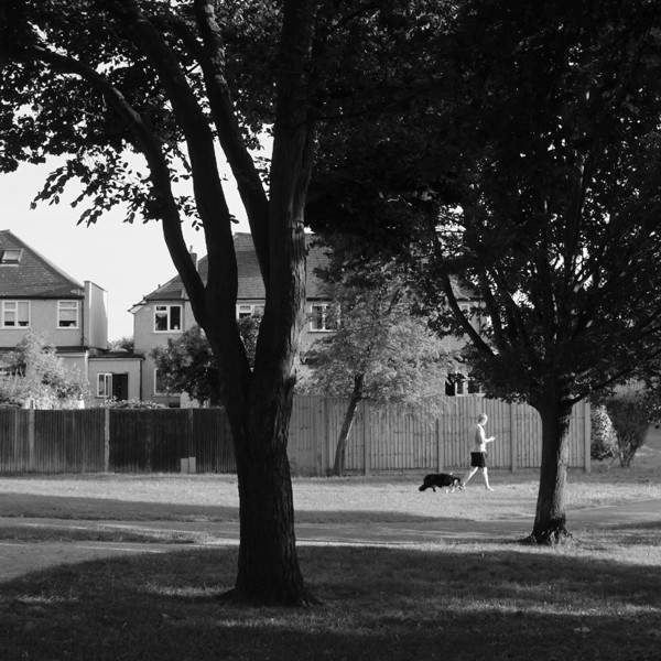 woman walking a dog amongst trees with houses behind